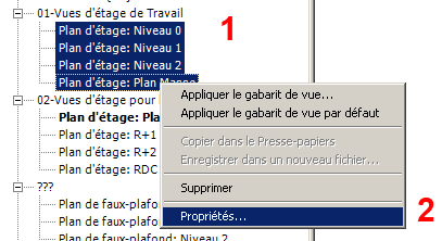 Revit personnaliser arborescence