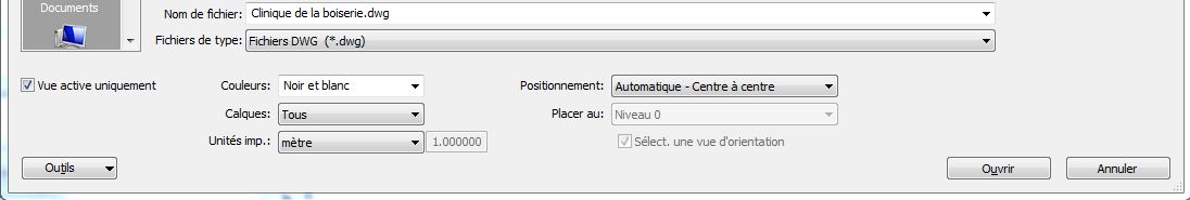 fichier DWG dans Revit